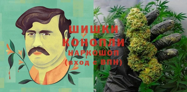 PSILOCYBIN Иннополис