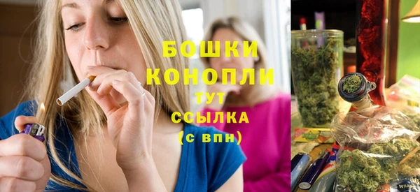 спайс Инта