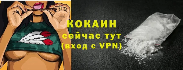 спайс Инта