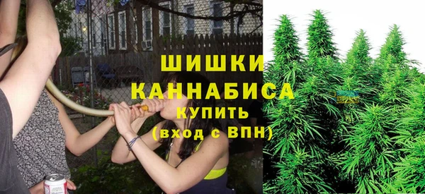 PSILOCYBIN Иннополис