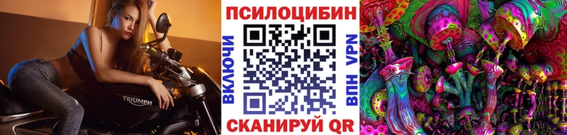 Галлюциногенные грибы GOLDEN TEACHER  Купить  Рязань 